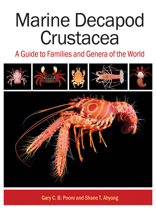 Title details for Marine Decapod Crustacea by Gary C.B. Poore - Wait list